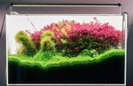 CHIHIROS B45 RGB Planted LED Light | For 45-65 cm tanks