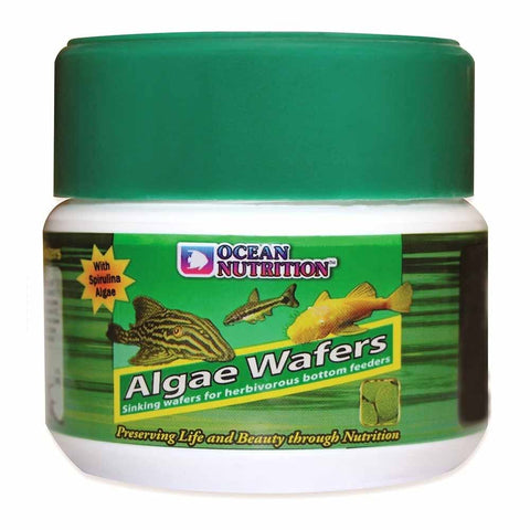 Ocean Nutrition Algae Wafers | Bottom Feeder Food