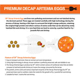 Ocean Free Premium Decap Artemia Eggs Natural | Fish Fry Food