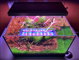 CHIHIROS WRGB II Series | WRGB 2 45 Planted Aquarium LED Light | For 45-60cm tanks | Wireless App Control